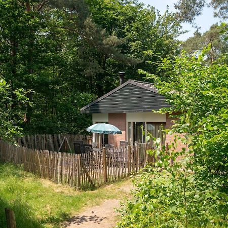 Comfort 6-Person Dog Bungalow In The Holiday Park Landal Heideheuvel Beekbergen Eksteriør bilde